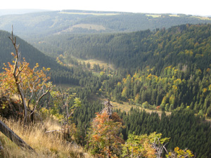 Ausblick von der Hahnenkleeklippe im Nationalpark Harz