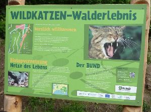Wildkatzen-Walderlebnispfad in Bad Harzburg