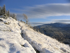 Nationalpark Harz im Winter - Foto Siegfried Wielert