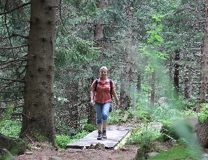 Wandern auf dem Harzer-Hexen-Stieg