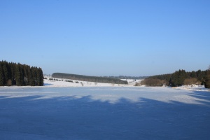 Der Pixhaier Teich im Winter