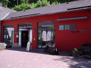 Haus der Natur Bad Harzburg Walderlebnisausstellung