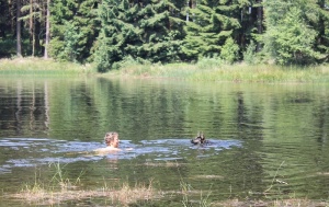Oberharzer Teiche - Badspaß mit Hund