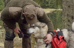 Harz-Trapper beim Schlittenhunde-Trekking