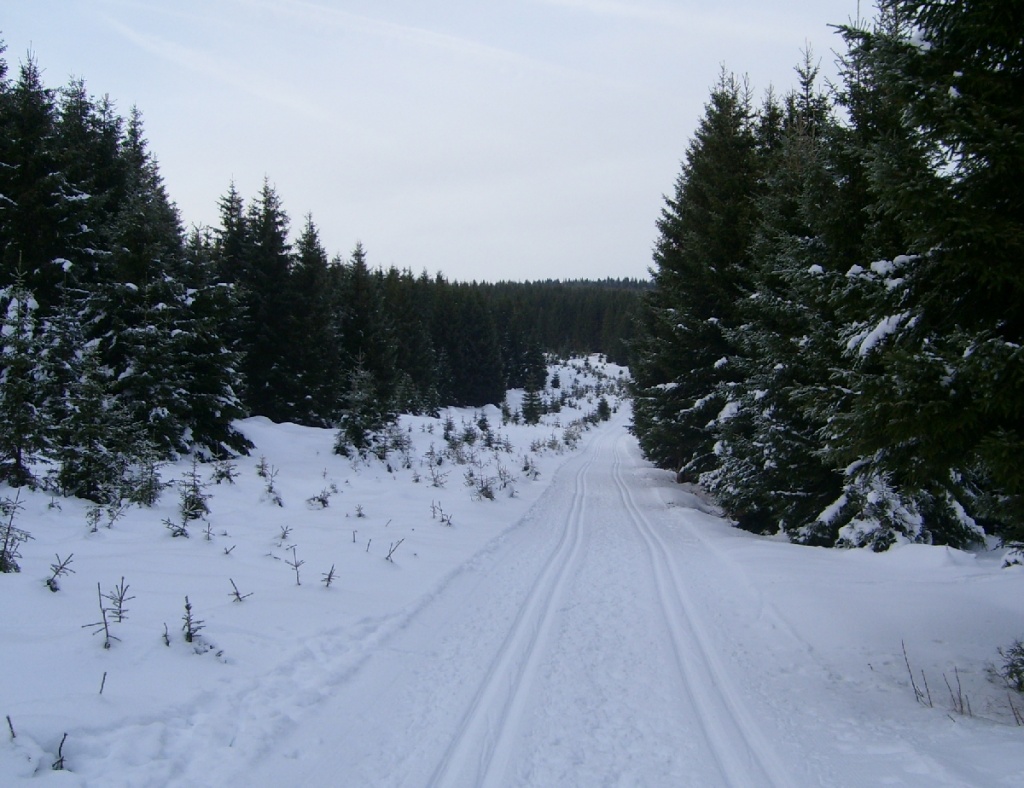 Loipen in Braunlage Wintersport Harz Skilanglauf