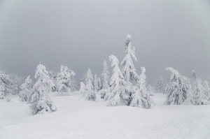Schnee Harz Winter Brocken Schneehöhen