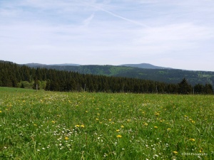 Blick von Braunlage zu Achtermann, Brocken und Wurmberg