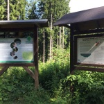 Wandern am Grünen Band im Harz