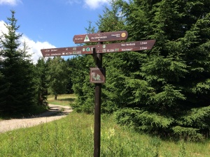Wandern im Nationalpark Harz