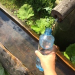 Trinkwasser der Eckertalsprre Stop für Wanderer