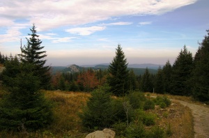 Scharfensteinklippen im Nationalpark Harz