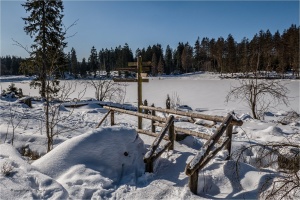 Oderteich Harz Winterlandschaft