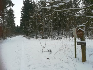 Winterwanderung Harz zur Kästeklippe bei Bad Harzburg